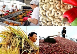 Việt Nam xuất siêu hơn 7 tỷ USD