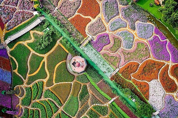 Nhiếp ảnh gia Việt Nam thắng giải ảnh quốc tế #Spring2020 nhiep anh gia viet nam thang giai anh quoc te spring2020
