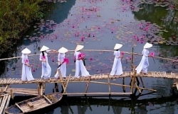 cau chuyen thu vi ve buc anh ong gia va bien ca lot top anh dai duong dep nhat cua national geographic