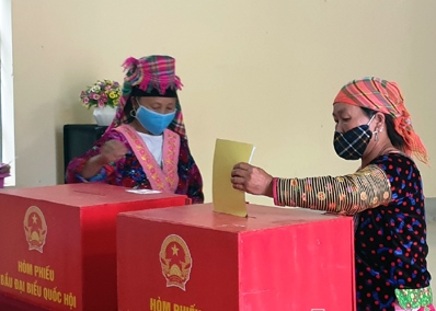 Xúc động hình ảnh cử tri bỏ phiếu bầu cử trong khu vực cách ly Xúc động hình ảnh cử tri bỏ phiếu bầu cử trong khu vực cách ly