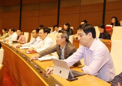 Chưa thông qua dự thảo luật cấm quảng cáo rượu, bia từ 18h - 21h hàng ngày