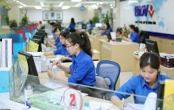 Vì sao HĐQT BIDV cho thôi nhiệm 2 uỷ viên?
