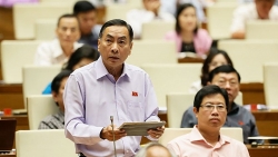 nu tien si de xuat dung lu chong ngap la ai