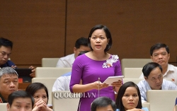 ha noi 6 thang dau nam ky luat 442 dang vien cach chuc 7 truong hop