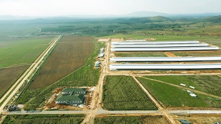 Tổ hợp trang trại tại Lào của Vinamilk đã hoàn thiện các hạng mục xây dựng cơ bản của cụm trang trại đầu tiên, dự kiến đi vào hoạt động vào đầu năm 2022 Tổ hợp trang trại tại Lào của Vinamilk đã hoàn thiện các hạng mục xây dựng cơ bản của cụm trang trại đầu tiên, dự kiến đi vào hoạt động vào đầu năm 2022