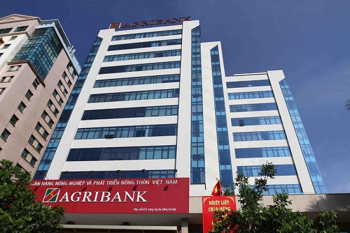 Cán bộ, nhân viên Agribank Mạc Thị Bưởi sai phạm gì trong vụ thất thoát 168 tỷ? can bo nhan vien agribank mac thi buoi sai pham gi trong vu that thoat 168 ty