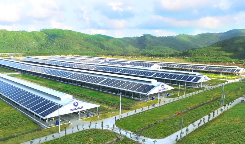 Phát triển bền vững được Vinamilk chú trọng với các chiến lược ngày càng rõ nét Phát triển bền vững được Vinamilk chú trọng với các chiến lược ngày càng rõ nét