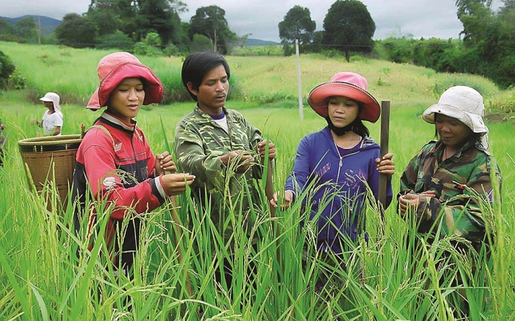 Ảnh minh họa Ảnh minh họa