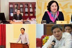 dien dan cai cach phat trien vn cung cap dau vao chien luoc phat trien 10 nam