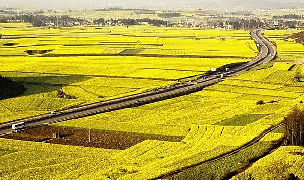 Ảnh minh họa Ảnh minh họa