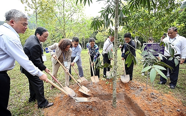 Các đại biểu quốc tế tham gia trồng cây trong chương trình “Du xuân hữu nghị” năm 2019 ở tỉnh Phú Thọ Các đại biểu quốc tế tham gia trồng cây trong chương trình “Du xuân hữu nghị” năm 2019 ở tỉnh Phú Thọ