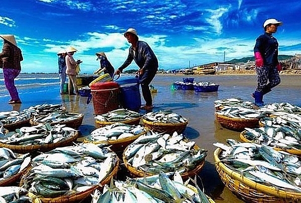 EC gỡ "thẻ vàng", thuỷ sản Việt Nam sẽ càng "cất cánh" ec go the vang thuy san viet nam se cang cat canh