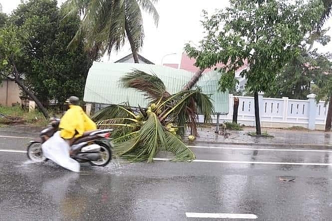 Bão số 12 đổ bộ vào đất liền, gió lớn quật ngã người đi đường