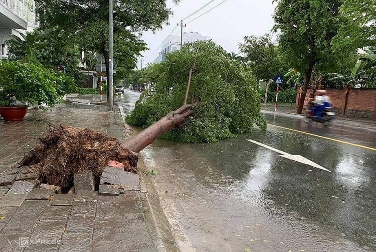 Bão số 12 đổ bộ vào đất liền, gió lớn quật ngã người đi đường