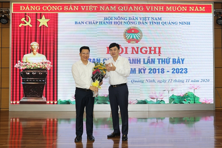 Hải Phòng, Quảng Ninh, An Giang kiện toàn nhân sự, bổ nhiệm lãnh đạo mới Hải Phòng, Quảng Ninh, An Giang kiện toàn nhân sự, bổ nhiệm lãnh đạo mới