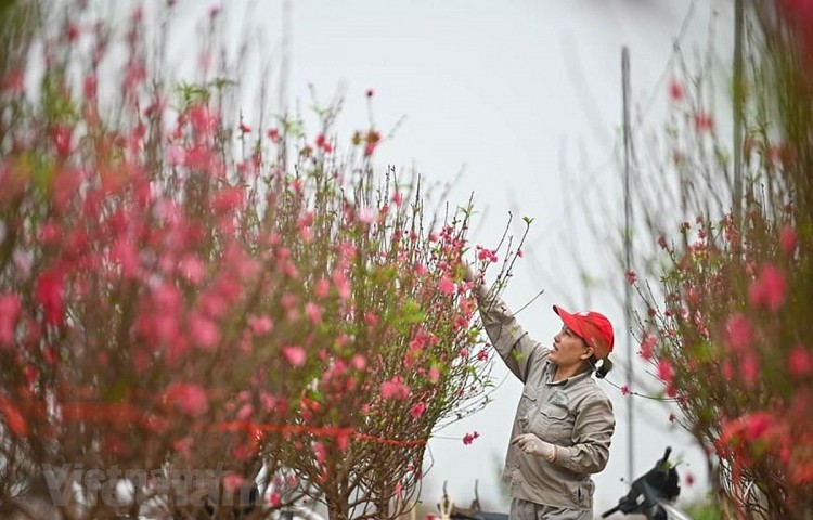 Tết Dương lịch 2022, người lao động được nghỉ 3 ngày (Ảnh minh họa) Tết Dương lịch 2022, người lao động được nghỉ 3 ngày (Ảnh minh họa)