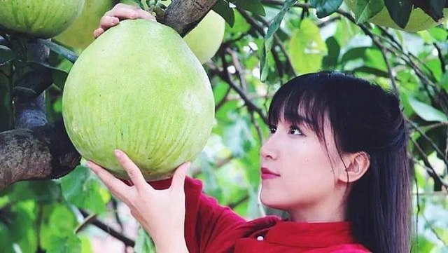 "Tiên nữ" Lý Tử Thất bất ngờ bị tẩy chay vì lý do "khó đỡ" tien nu ly tu that bat ngo bi tay chay vi ly do kho do
