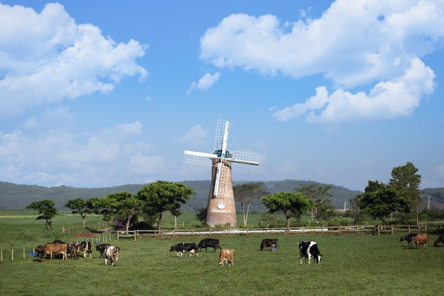sua tuoi organic cua vinamilk chinh phuc nguoi tieu dung singapore nhu the nao