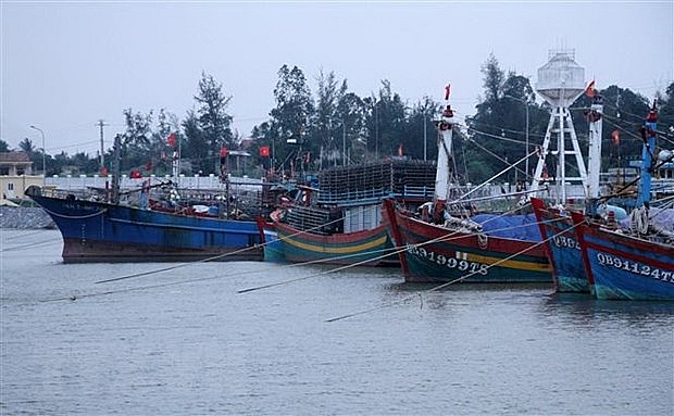 Theo dõi diễn biến, chủ động ứng phó bão Phanfone theo doi dien bien chu dong ung pho bao phanfone