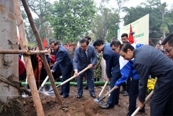 全国各地举行植树节