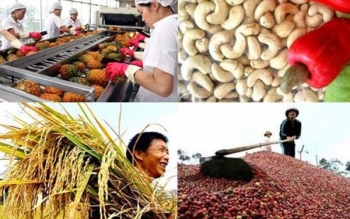 日本对越南86%商品取消进口关税
