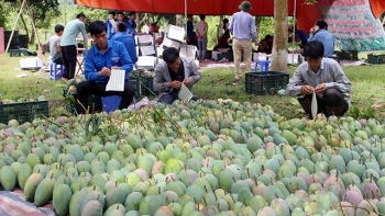 山罗省农产品逐步走出国门 远销世界各地
