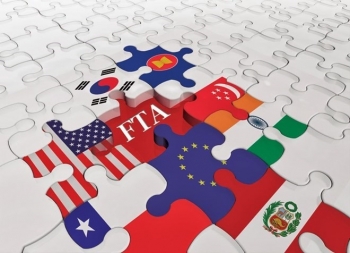 越南国际地位显著提升