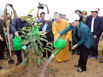 国会主席阮氏金银出席和平省植树造林出征仪式