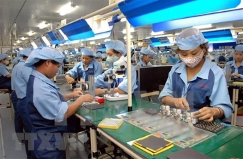 企业应主动抓住EVFTA带来的机会