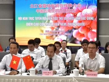 中越荔枝跨境在线促销推荐会成功举行