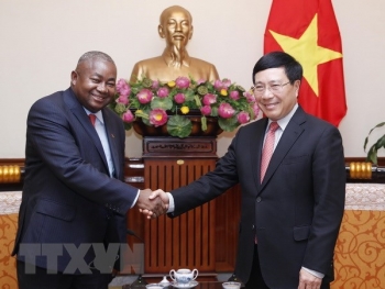 范平明会见莫桑比克新任驻越大使