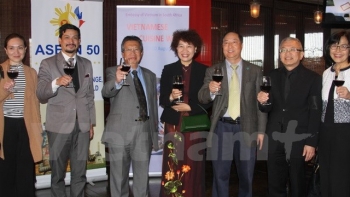 越南传统文化、旅游与美食周在南非举行
