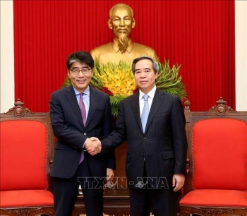 进一步弘扬越南与ILO的良好合作关系