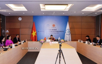 充分发挥国会在消除针对妇女的暴力行为的作用