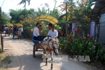 槟椥省旅游潜力巨大有待挖掘