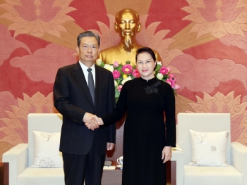 国会主席阮氏金银会见中共中央纪检委员会书记赵乐际