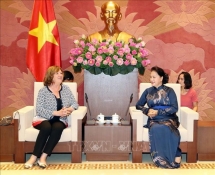 越南国会主席阮氏金银会见法越议员友好小组主席
