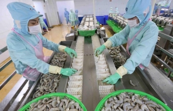 EVFTA实施两个月后立即对越南产生积极影响