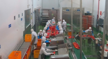 越南企业深入了解EVFTA以充分利用其带来的机会