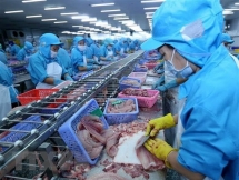 2020年越南水产品出口回稳向好