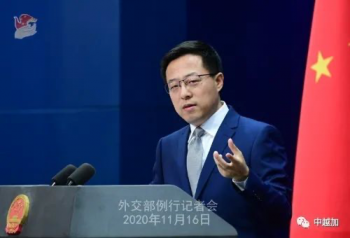 中国网：越南政府出手了