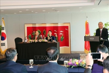 国会主席阮氏金银与越韩多元文化家庭代表会面