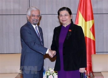 越南国会副主席丛氏放会见联合国驻越协调员