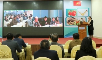 越南与中国企业技术和设备供需对接会在海防市举行