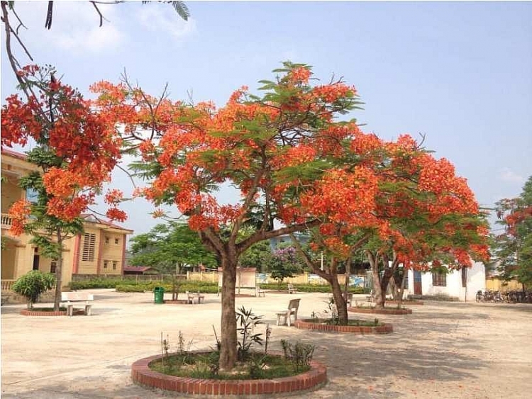 Trường Tiểu học Thiện Kế B tích cực đổi mới căn bản toàn diện giáo dục Trường Tiểu học Thiện Kế B tích cực đổi mới căn bản toàn diện giáo dục