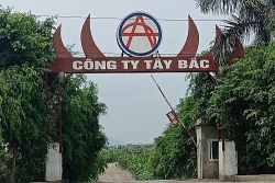 ba ria vung tau can phat trien cac do thi ve tinh va cong nghiep