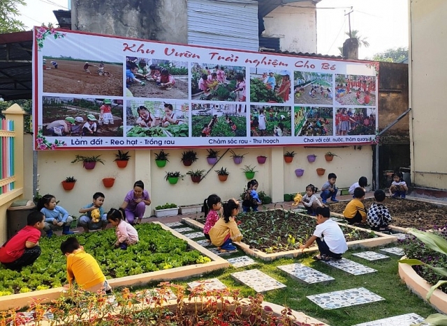 Trường MN Phong Châu: điểm sáng xây dựng trường mầm non lấy trẻ làm trung tâm truong mn phong chau diem sang xay dung truong mam non lay tre lam trung tam