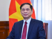 ការទូតវៀតណាម ដើម្បីបុព្វហេតុការពារ និងអភិវឌ្ឍន៍ប្រទេសជាតិ ក្រោមពន្លឺនៃសេចក្តីសម្រេចចិត្តនៃមហាសន្និបាតលើកទី ១៣ របស់បក្ស