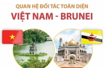 ប្រធាន VUFO ផ្ញើលិខិតអបអរសាទរខួបលើកទី ៣០ នៃទំនាក់ទំនងវៀតណាម-ប្រ៊ុយណេ