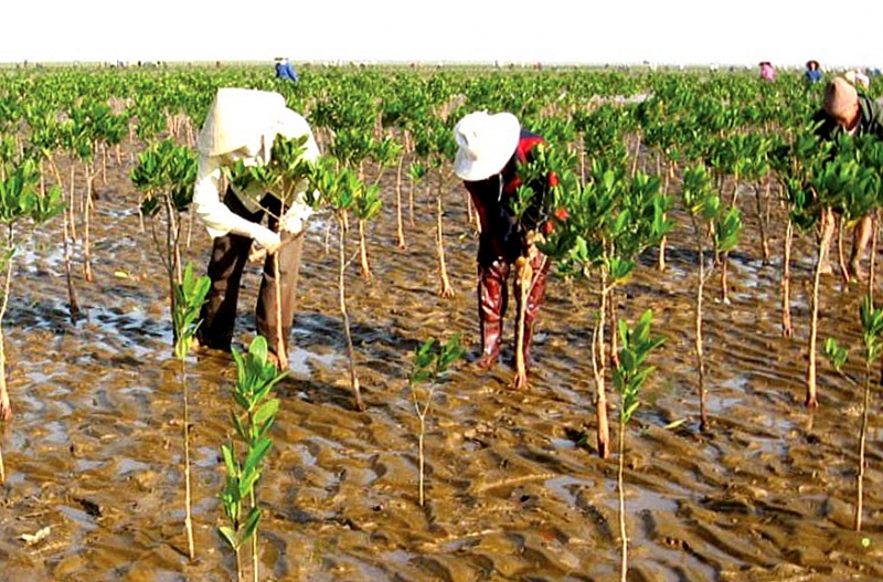 គោលនយោបាយច្បាប់របស់វៀតណាមធានាសិទ្ធិមនុស្សចំពោះមុខផលប៉ះពាល់នៃការប្រែប្រួលអាកាសធាតុ គោលនយោបាយច្បាប់របស់វៀតណាមធានាសិទ្ធិមនុស្សចំពោះមុខផលប៉ះពាល់នៃការប្រែប្រួលអាកាសធាតុ